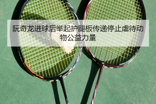 阮奇龙进球后举起护腿板传递停止虐待动物公益力量